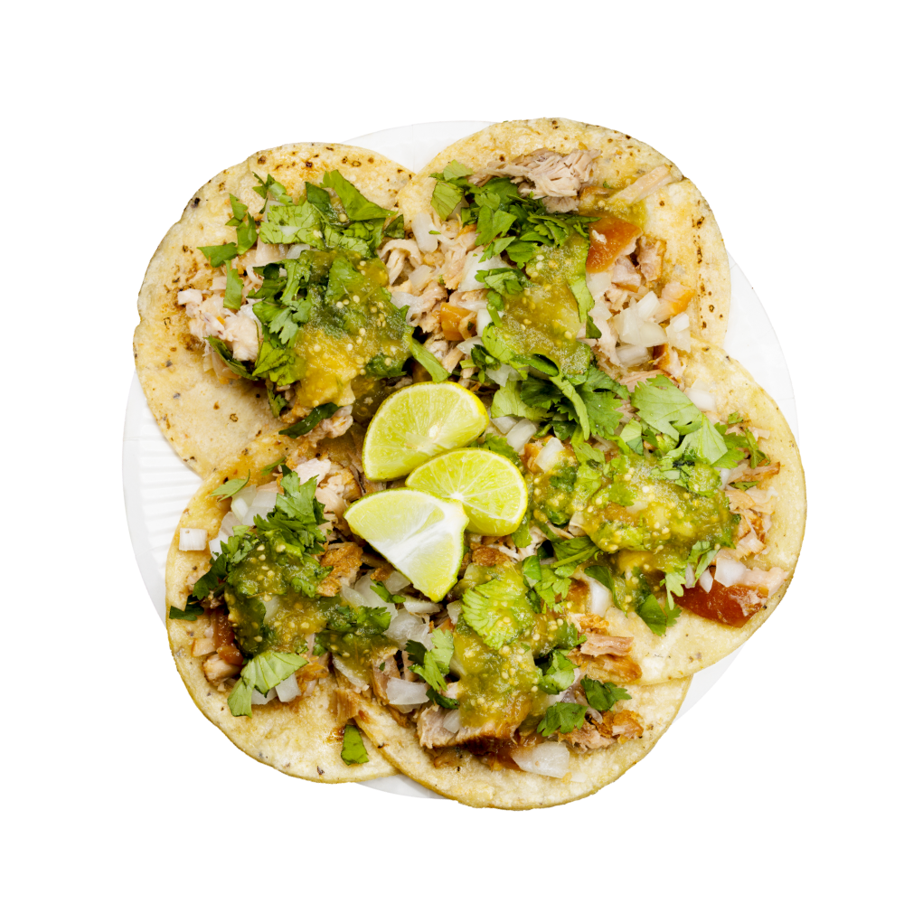 冷凍タコス2種セット(スアデロ・カルニタス)